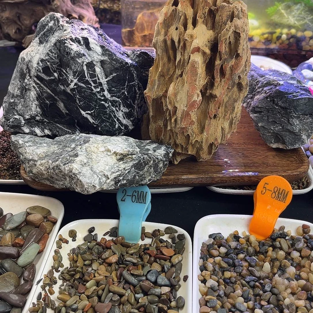 纯天然的松皮石1青龙石3