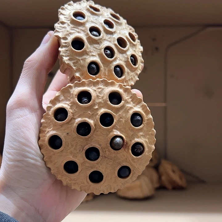 柏木千**外我们的生活也是如此