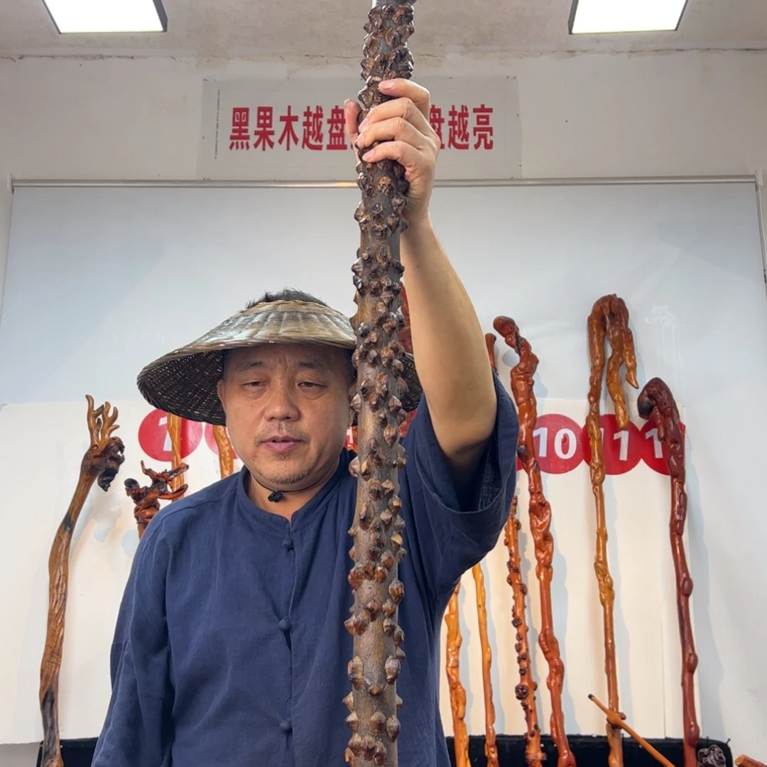 小***双黑果木其他黑果木001