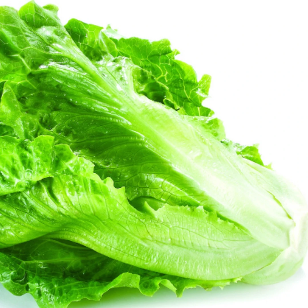 生菜200g-500g绿色蔬菜