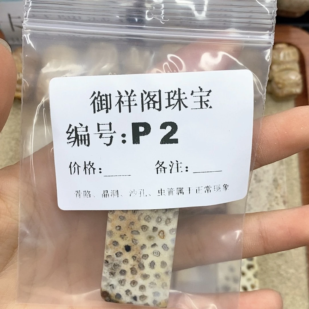硅化珊瑚（珊瑚玉）L未镶嵌用****2