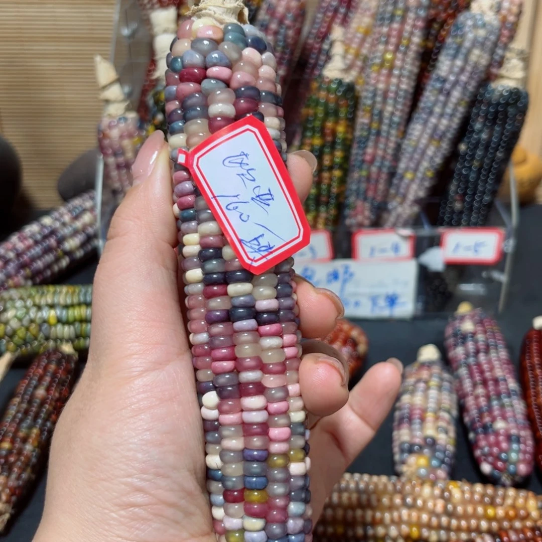 欧***亚直播间七彩文玩玉米不退不换160