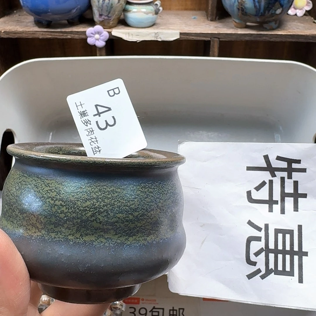 罐树*陶瓷工艺与艺术