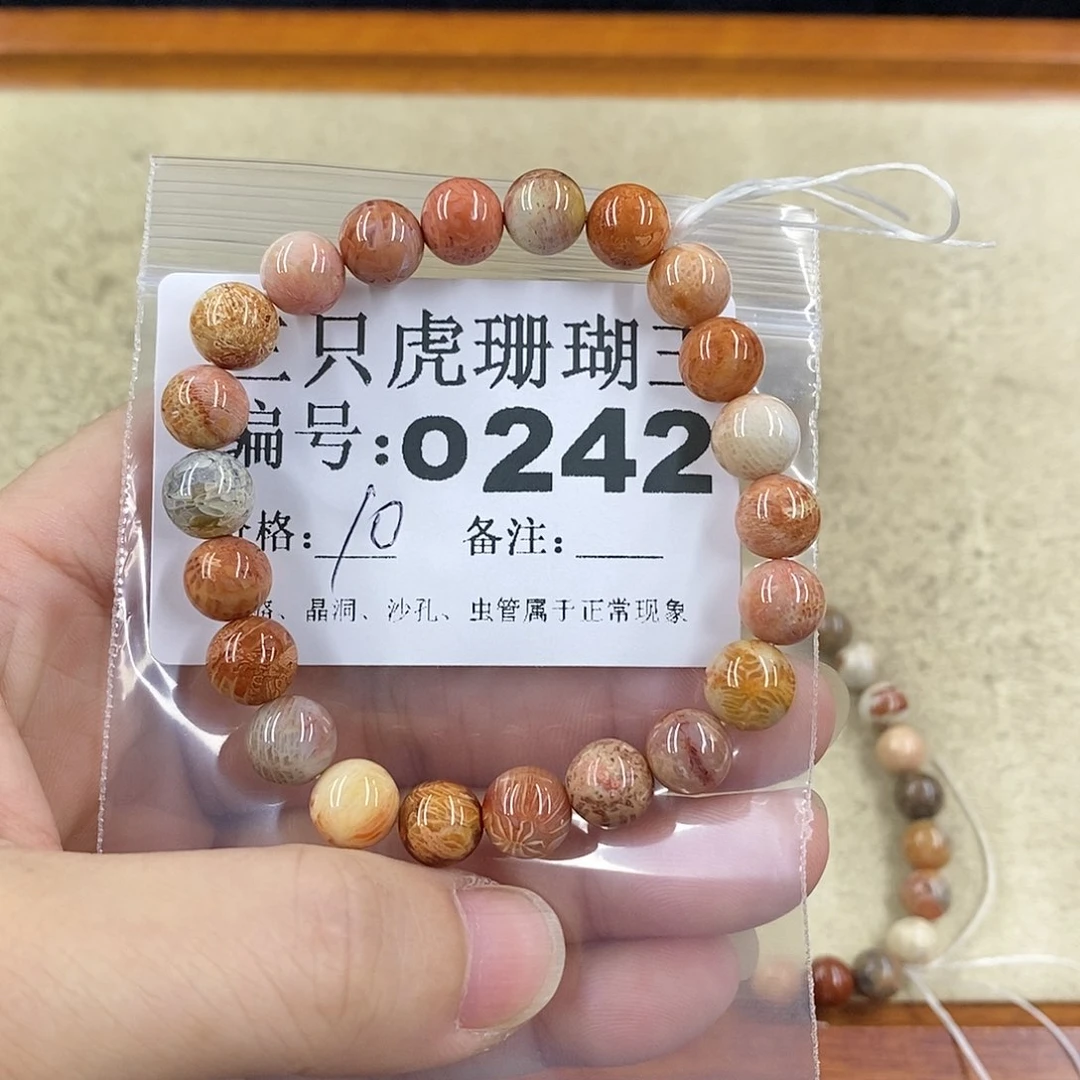 硅化珊瑚（珊瑚玉）1未镶嵌女***娆