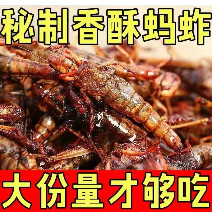 【直播福利专属】网红爆款蝗虫昆虫油炸蚂蚱美味小吃香辣五香实惠装