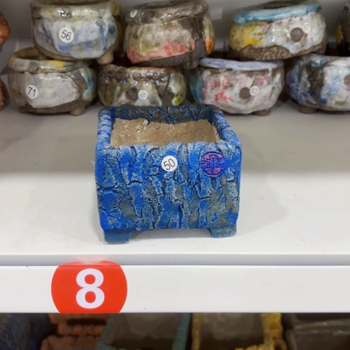 红陶遇***开内敛的人是不可能的