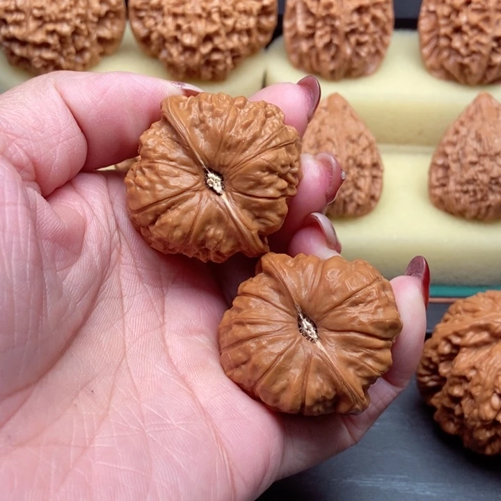 南瓜全40尺已打底……12