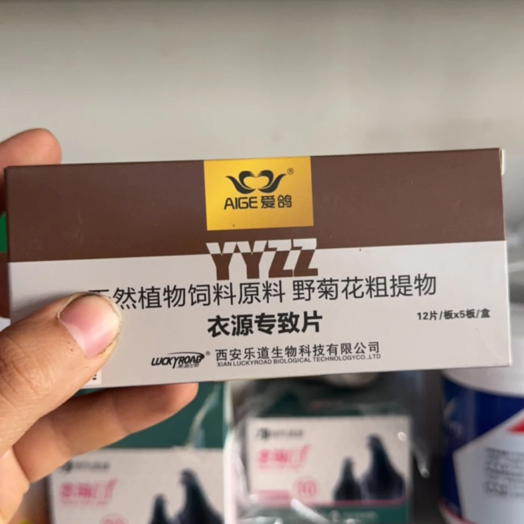 乐道爱鸽鸽药衣原体片信赛鸽子鸟单眼伤风