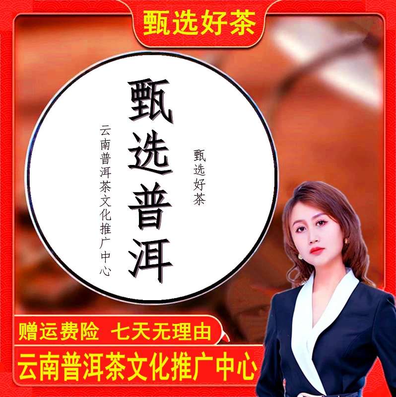 推广中心--8号-普洱茶-生/熟-饼/散茶（100克-3888克）