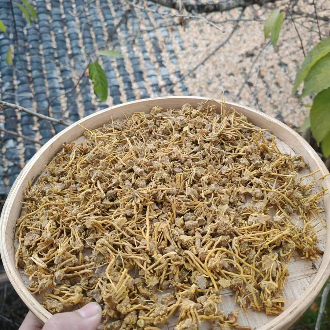 1【龙-须-石-斛】净含量：250-1000g【小田现收】