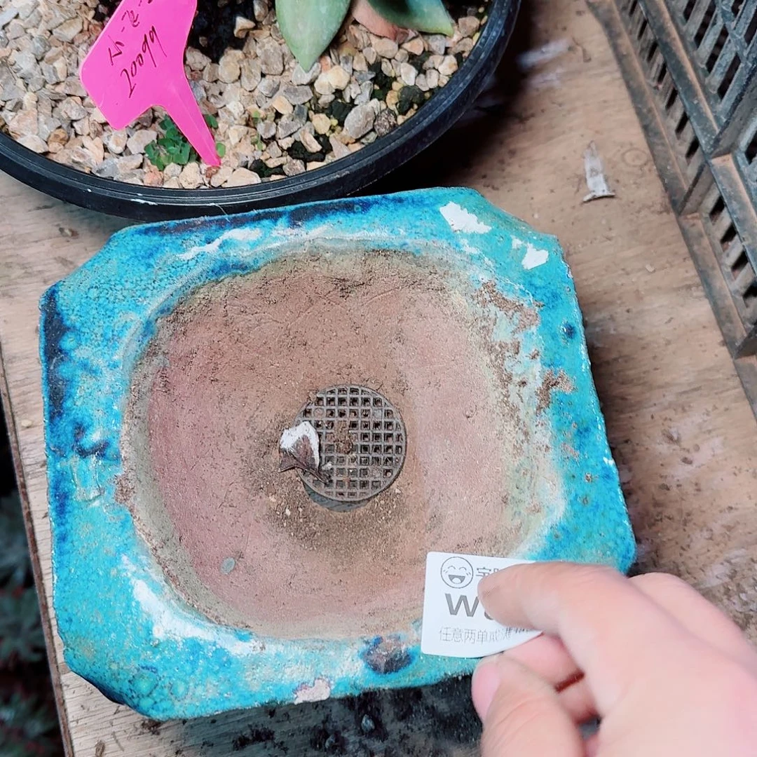 小***飞8049花盆运费多肉