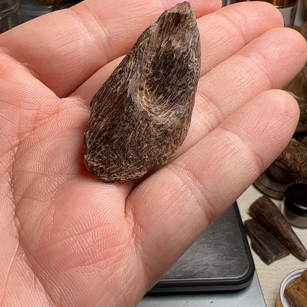 沉香沉香碎屑马泥涝沉水料2.6克