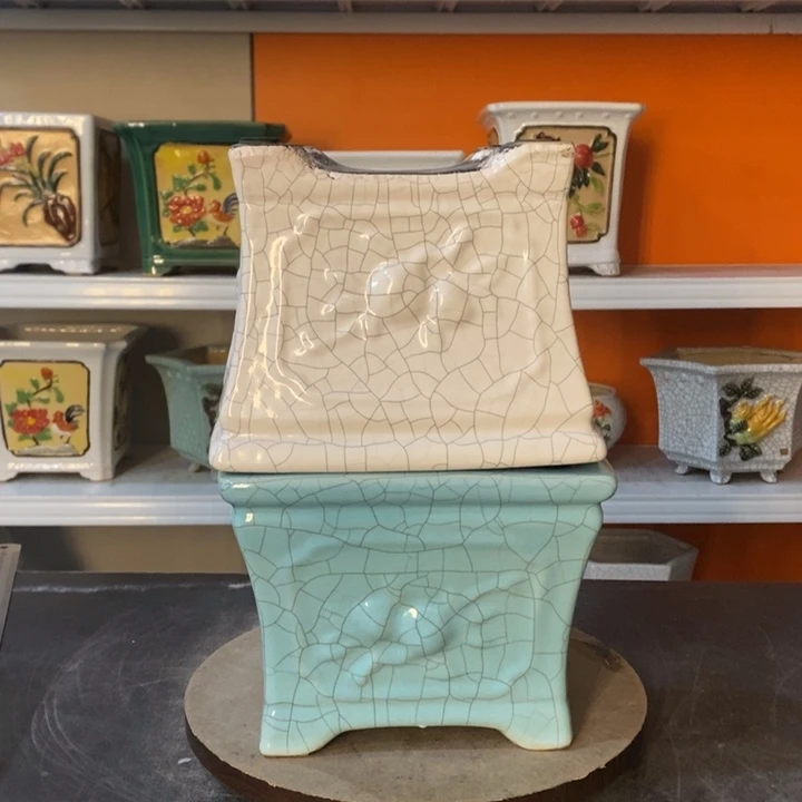 红陶芳**豪花盆里的小猫咪