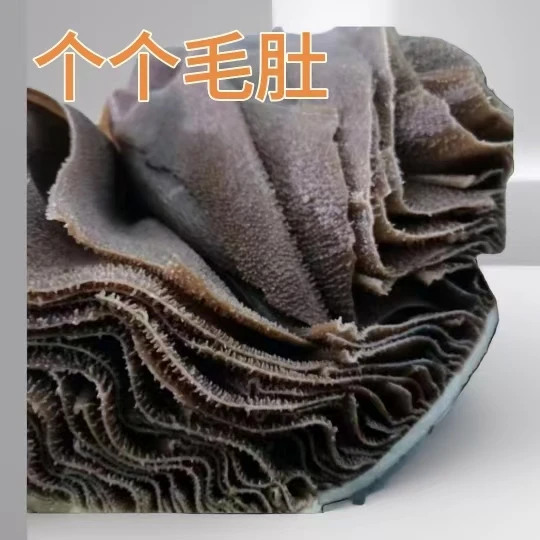 苗富毕老妞整肚毛肚去水10斤