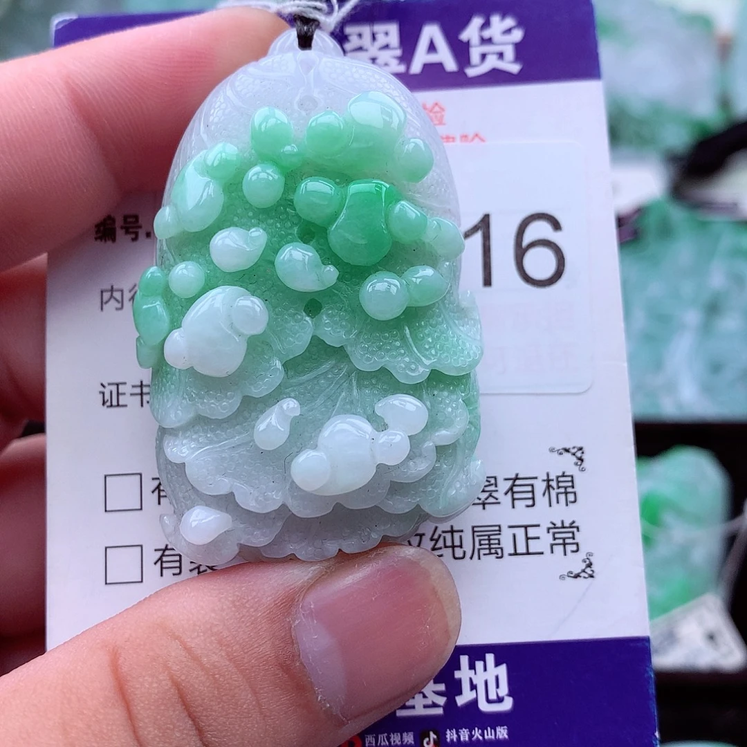 翡翠未镶嵌吊坠(不含链)