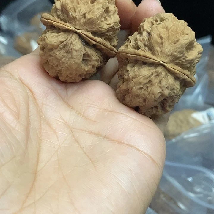 木质类云南铁核桃基地69