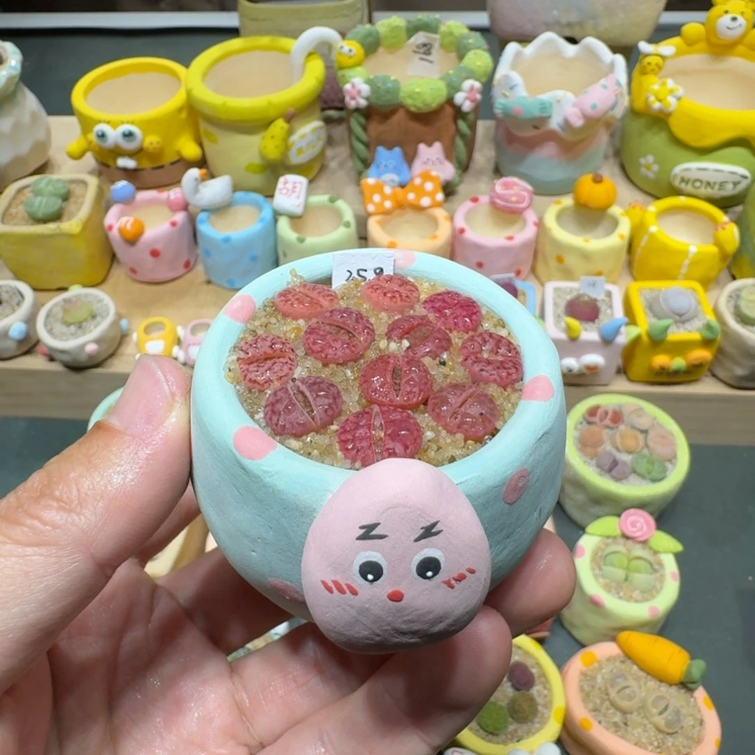 红陶蘑菇392紫柘榴