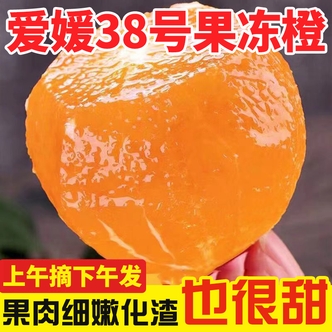 【头茬鲜果】正宗爱媛38号果冻橙4.5/8斤新鲜水果四川果冻