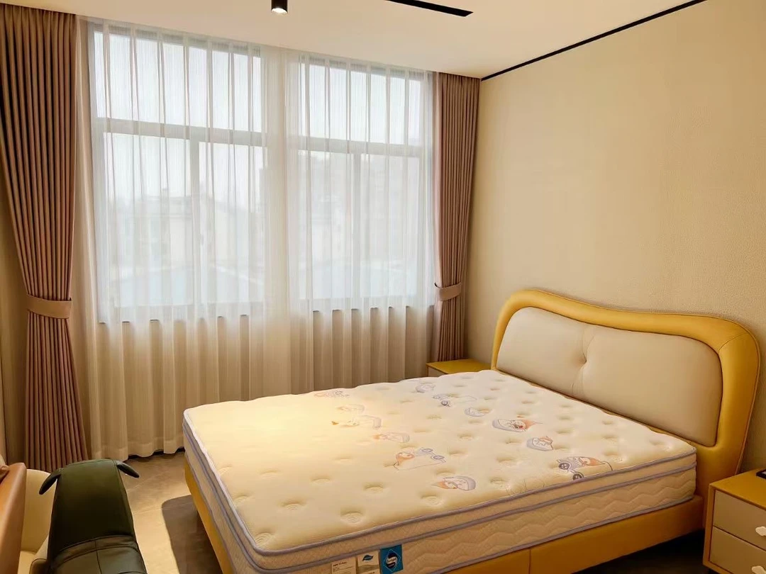高档纱帘窗纱客厅卧室书房唯美透光纱