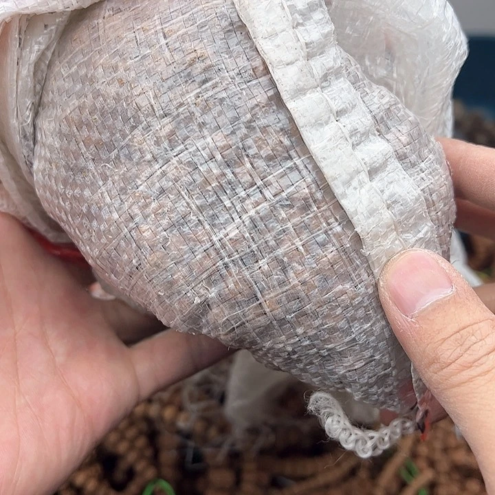 金刚菩提手串大****?好评