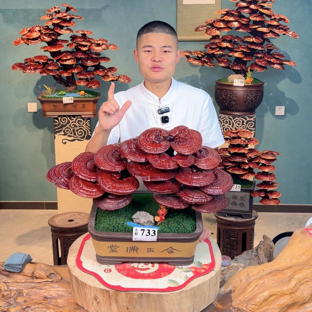 无花朵88888888888