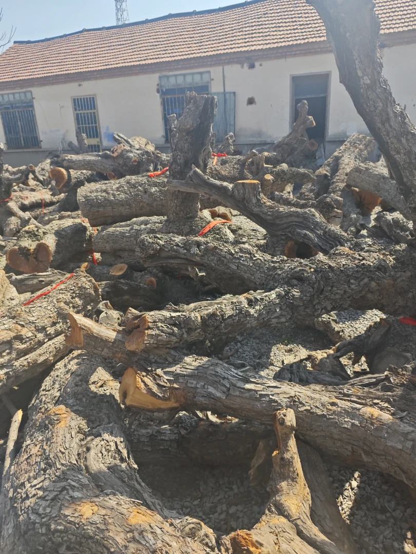 雷击枣木木料现切 直播间下单记得截图