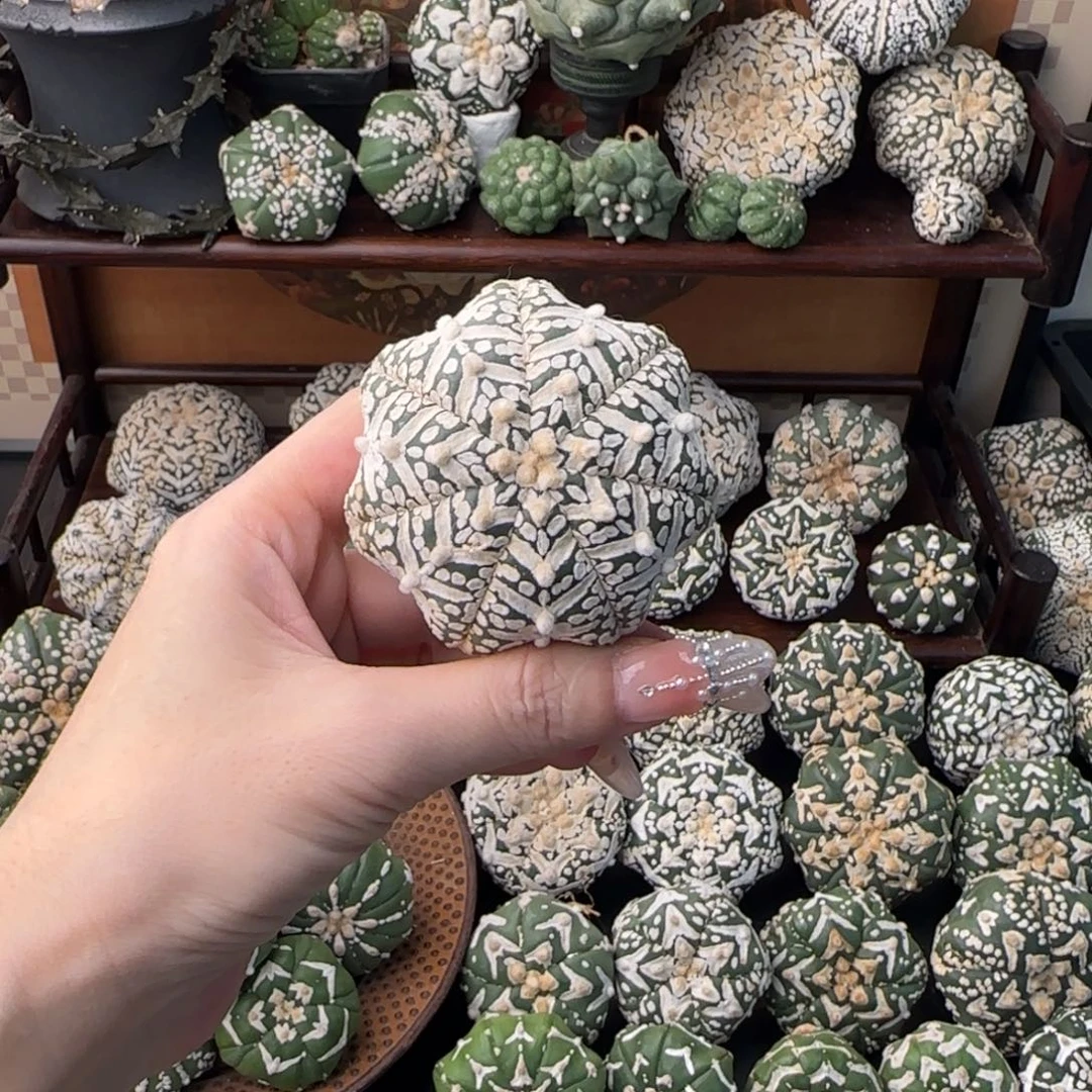 投***剑专拍福利哈哈哈哈哈哈哈