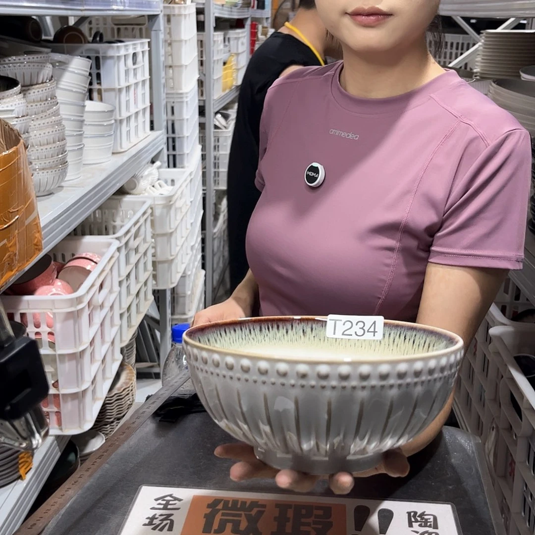 瓷片234             2个