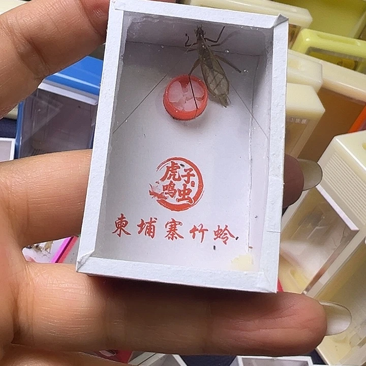 园***厂哈哈哈哈哈哈哈哈哈哈哈