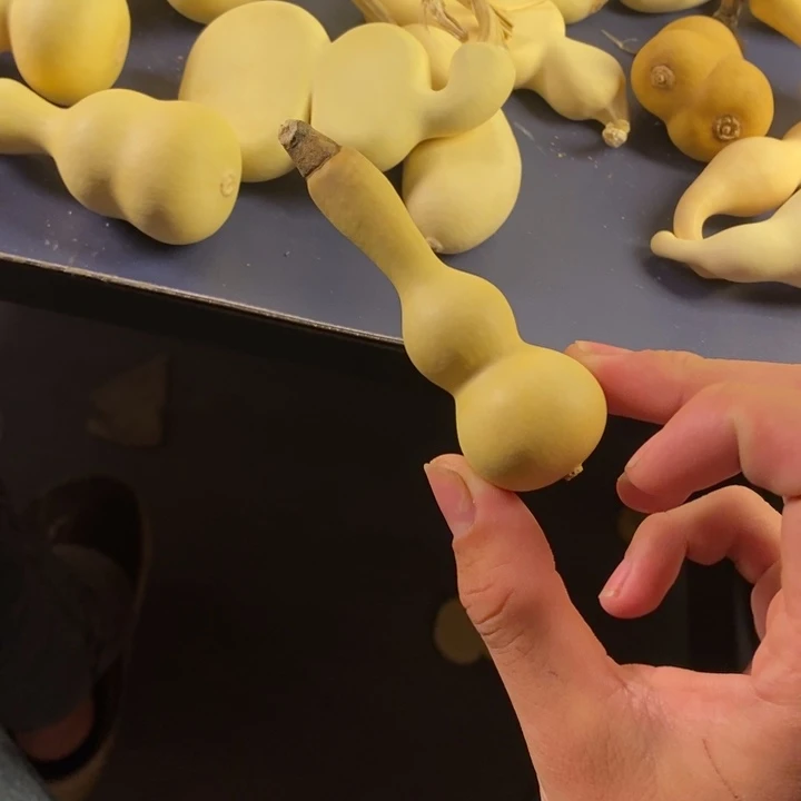 博***疆大叶紫檀（黑酸枝木类）