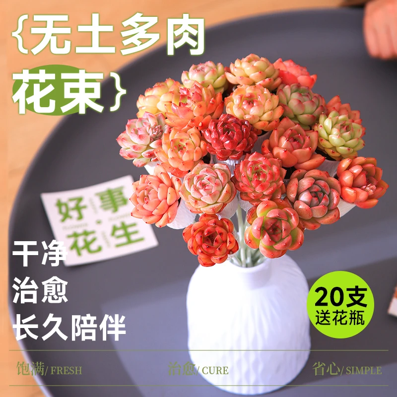 【mumuhome直播】无土多肉植物花束好看唯美送礼好物干净好养美观