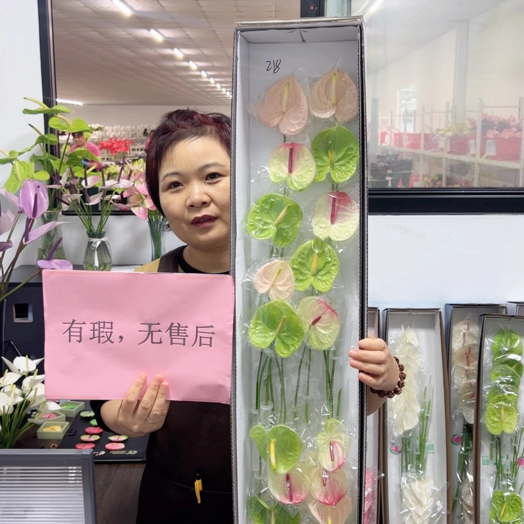 完全开放红掌鲜切花混色20枝装无售后款218
