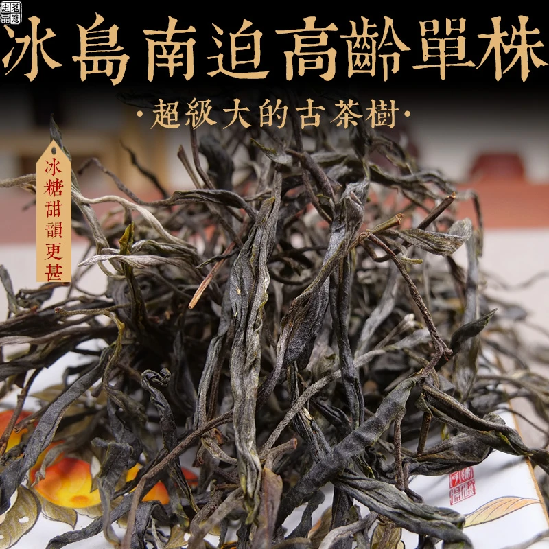 2025年春茶头春 冰岛南迫高龄单株超大古树散茶 普洱生茶 高段茶