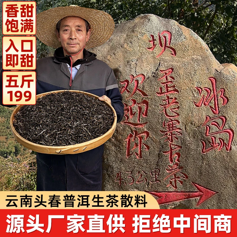 【正宗云南冰岛甜】茶农直销，冰糖甜韵，足斤足两，到手足足2500g
