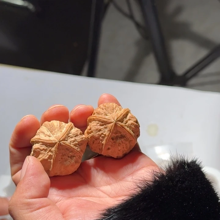 把件文玩核桃铁61号凤舞四棱