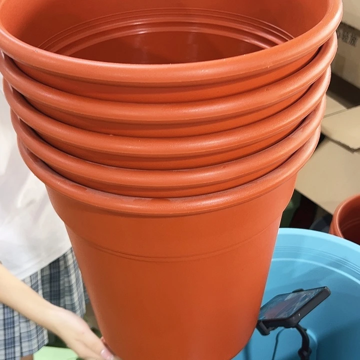 特价翻边口32高35陶红无托5只