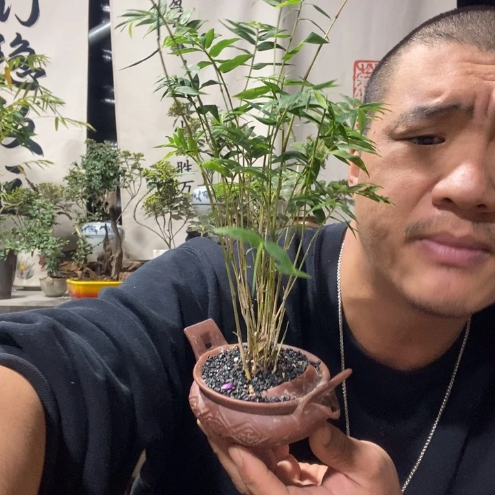 无花朵退款拉黑拉黑45