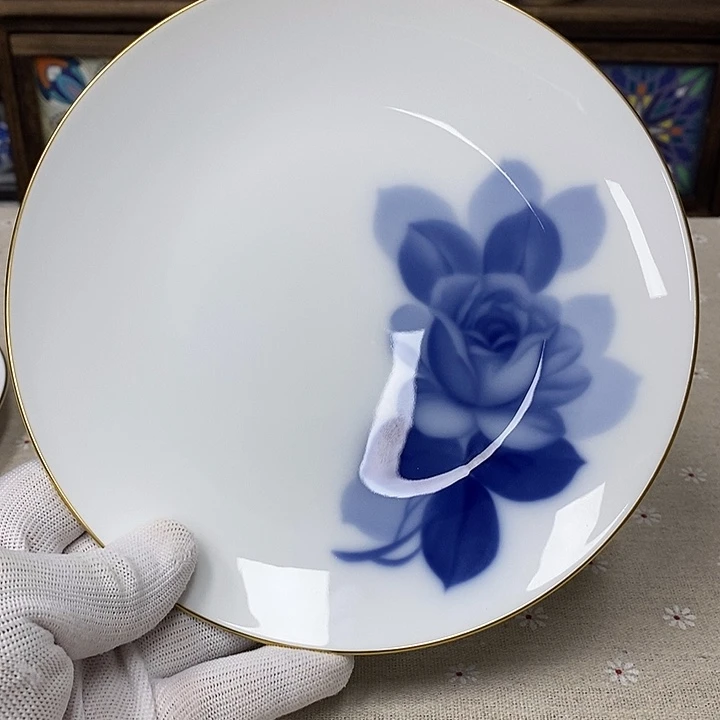 瓷片进口大仓瓷器口径19.5