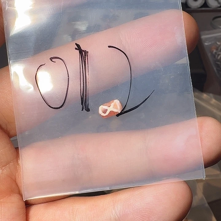 泥塑宝*叁佰直播怼货