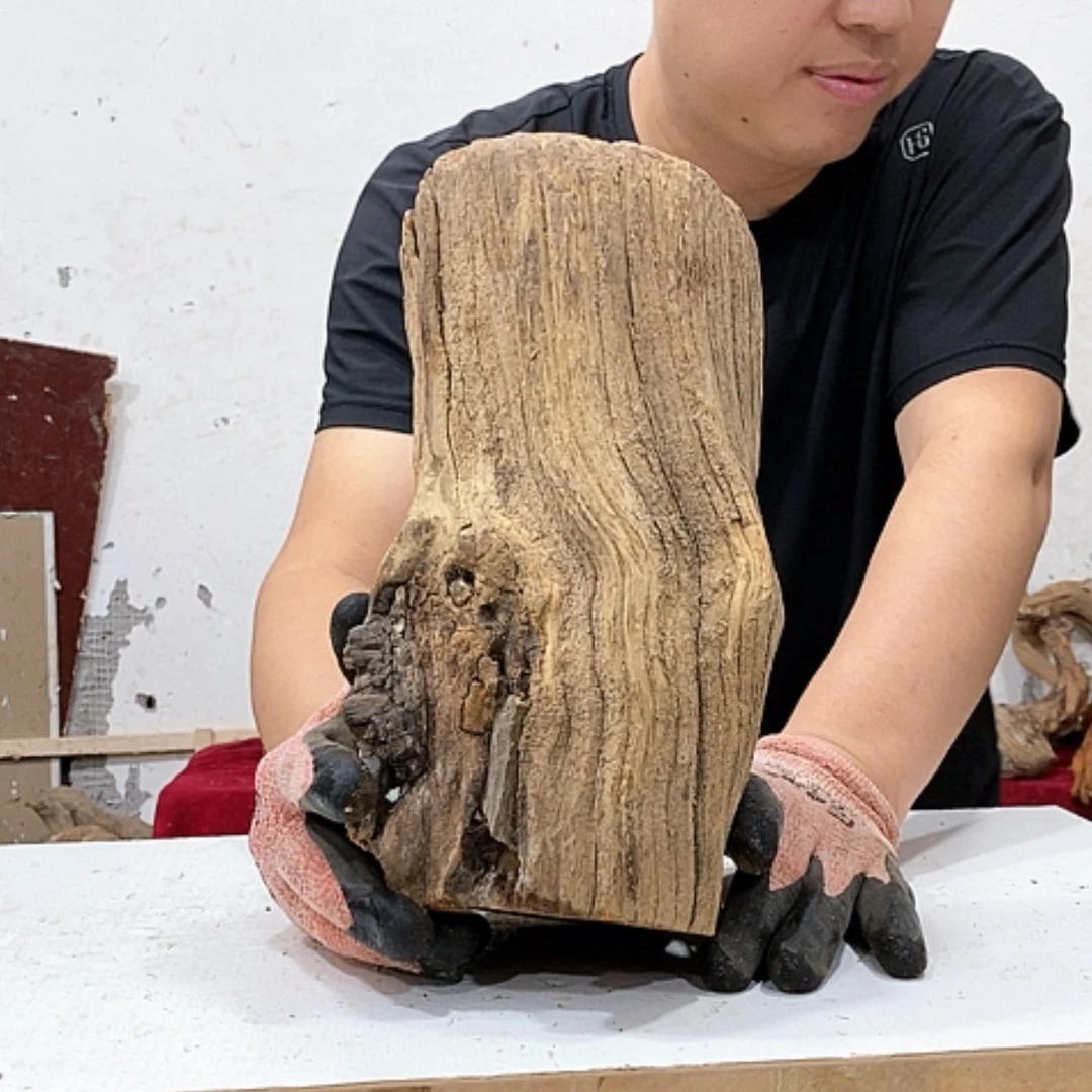【闪购商品】柏木名**品我们都是好孩子