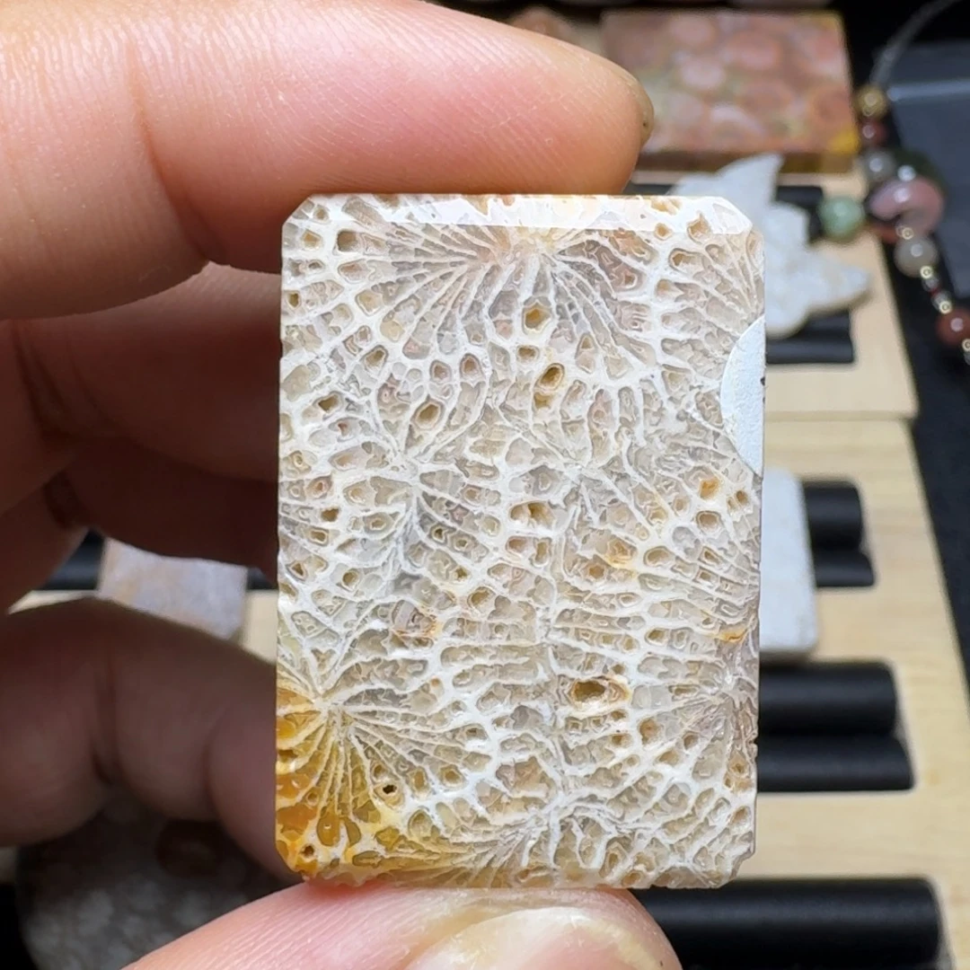 未镶嵌纯天然色有机玉石保真色硅化玉