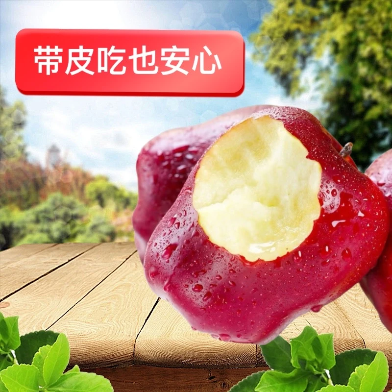 【包邮】甘肃天水花牛苹果脆粉两吃/新鲜特大水果/现摘