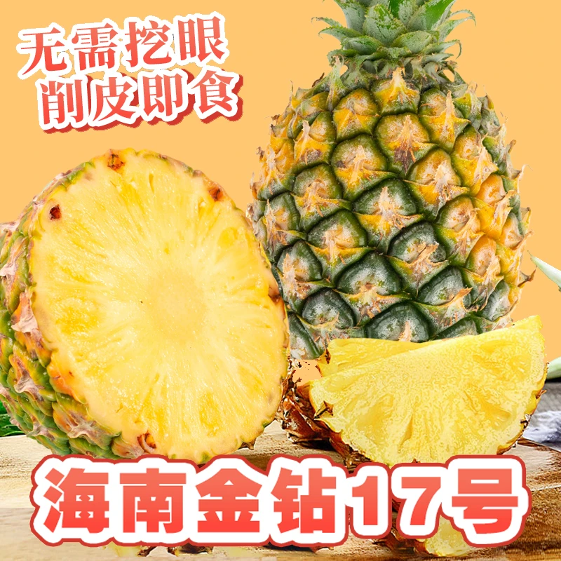 【严选好物】海南金钻17号凤梨1-5斤1-5个装香甜多汁坏果包赔