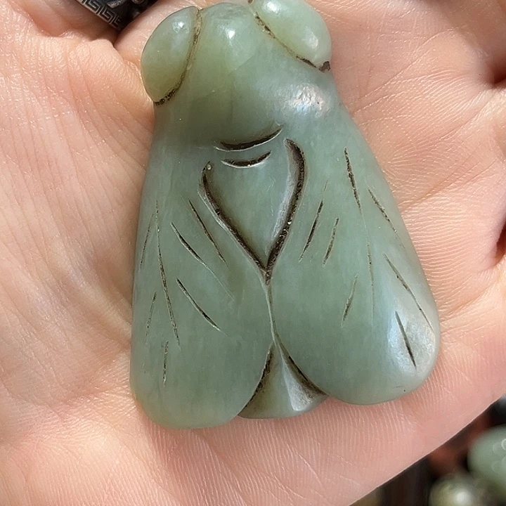 紫***风瓷片小猫在床底抱