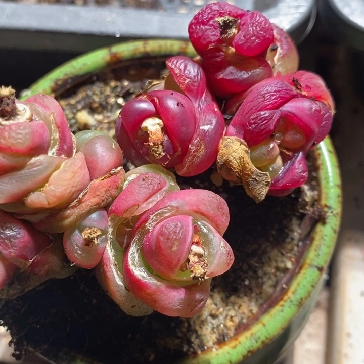 *️****20212一组一组一组