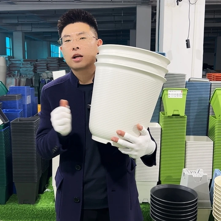 正品高陶口30高31白色3只无托