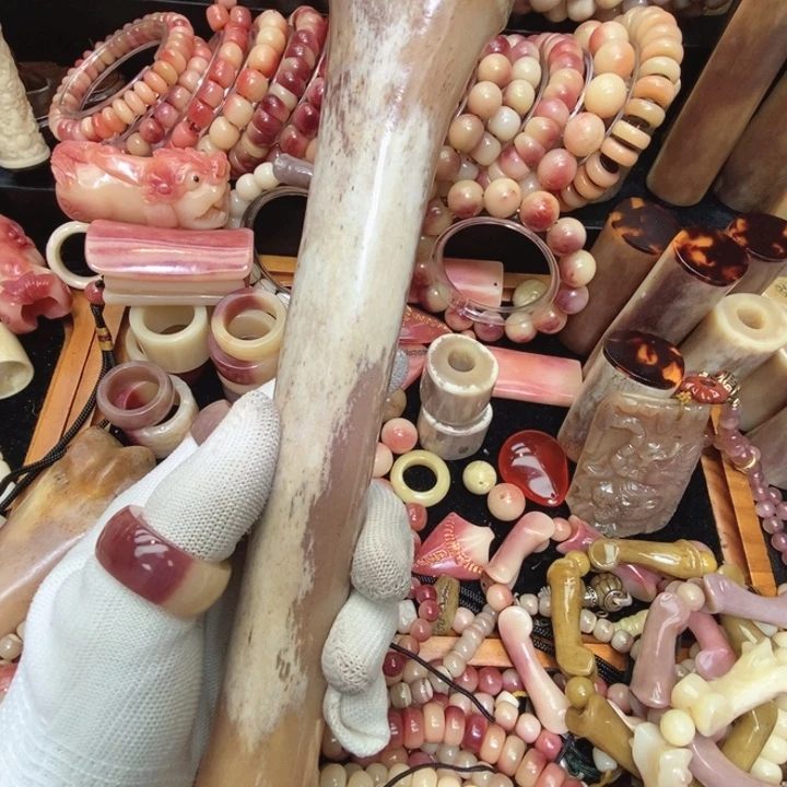 驼骨手串/手链腿骨