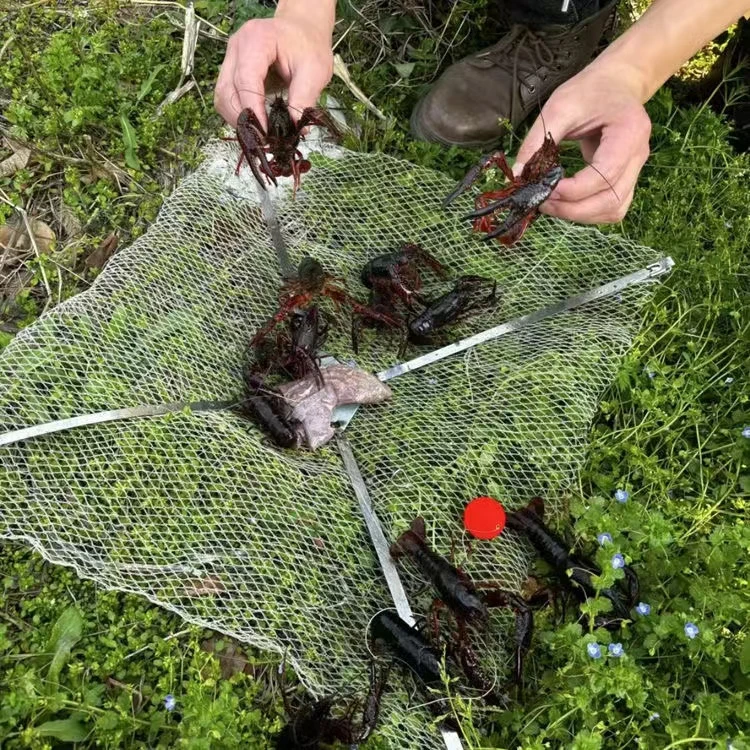 【小龙虾神器】笼虾螃蟹笼捕虾网渔网折叠龙虾网黄鳝笼抓扑地网笼