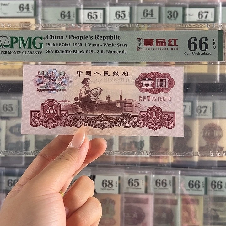 深墨版一品红朦胧包邮