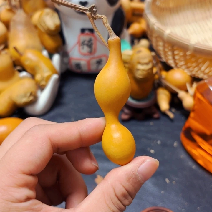 毒*888888888888888888